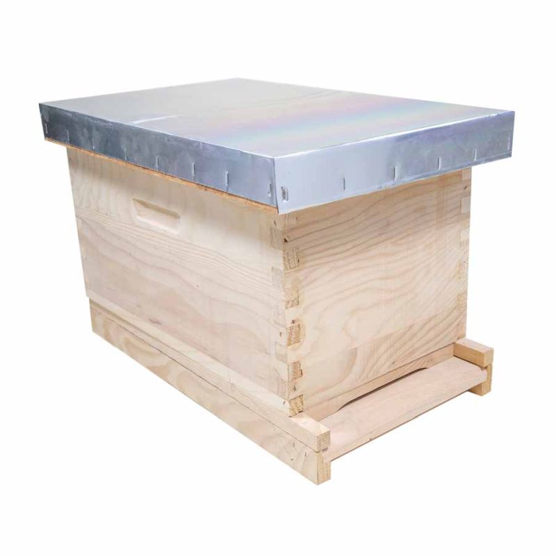 Begattungskästchen 5 Waben, Langstroth