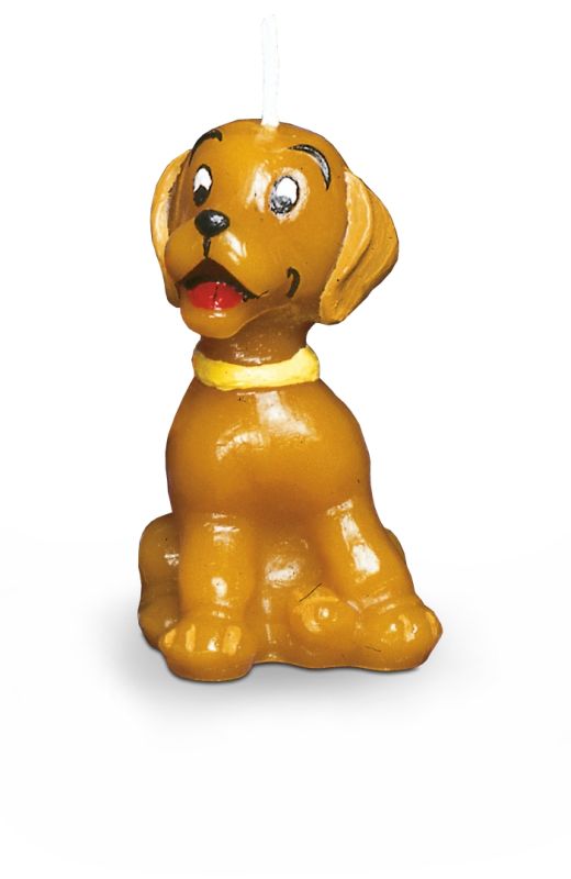 kerze, Hund